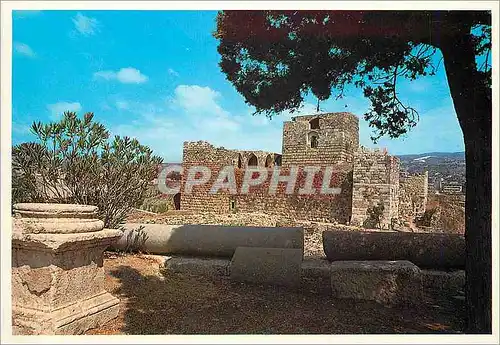 Cartes postales moderne Byblos chateau franc