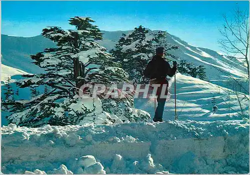 Moderne Karte Lebanon cedars silhoette d'un moniteur de ski