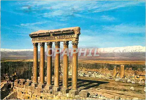 Cartes postales moderne Baalbeck colonade du temple de Jupiter