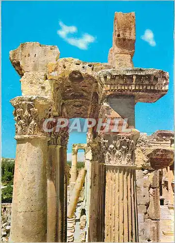 Moderne Karte Lebanon Baalbeck detail des colonnes du temple baachus