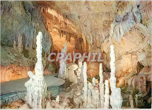 Cartes postales moderne Lebanon Jilta grotte upper Gallery foret petrifiee