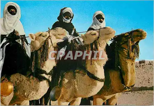 Cartes postales moderne Libya touarek sul loro mahari