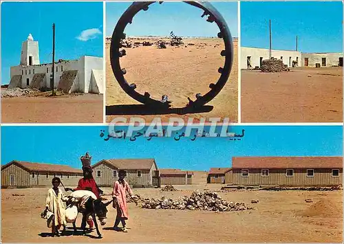 Cartes postales moderne Libye vues de l'oasis de kufra