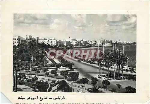 Moderne Karte Tripoli adrian pelt street