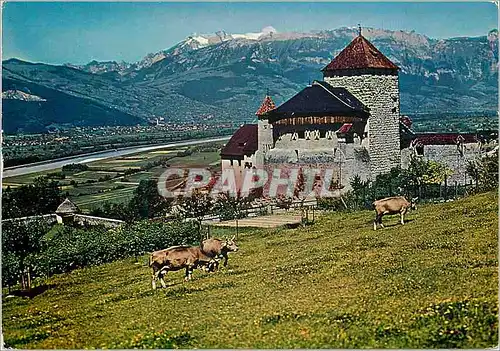 Cartes postales moderne Schloss castle chateau Vaduz