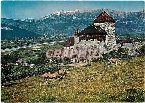Cartes postales moderne Schloss castle chateau Vaduz rheintal rhine valley