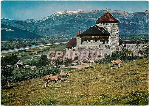 Moderne Karte Schloss castle chateau Vaduz rheintal rhine valley