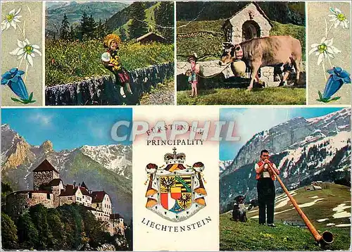 Cartes postales moderne Furstentum principality liechtenstein schlob (560 m u M) mlit falknis 2566 m