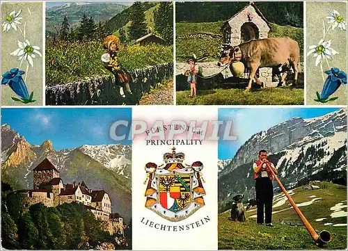Cartes postales moderne Furstentum principality liechtenstein schlob vaduz (560 m u M) mit falknis 2566m