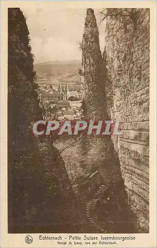 Cartes postales moderne Echternach petite suisse luxembourgeoise goge du loup vue sur echternach