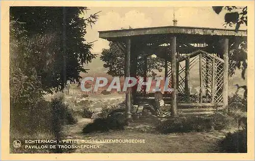 Cartes postales moderne Echternach petite suisse luxebourgeoise pavillon de troosknepchen