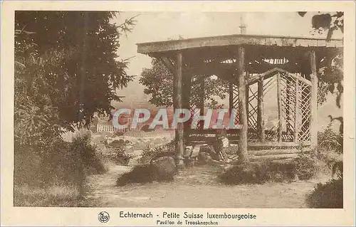 Cartes postales moderne echternach petite suisse luxembourgeoise  pavillon de troosknepchen