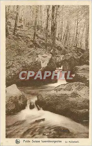 Cartes postales moderne Petite suisse luxebourgeoise le hallerbach