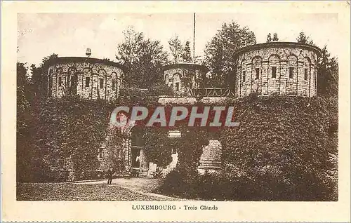 Cartes postales Luxembourg Trois Glands