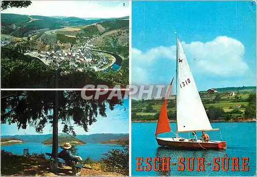 Cartes postales moderne Esch-Sur-Sure Vue generale