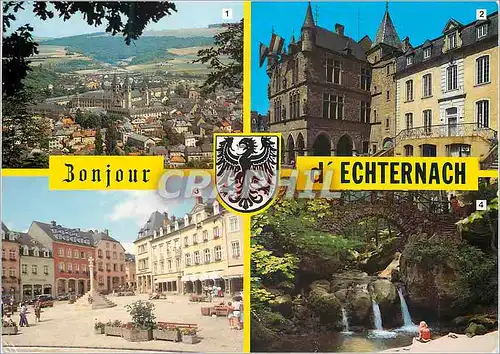 Moderne Karte Luxembourg Echternach Panorama