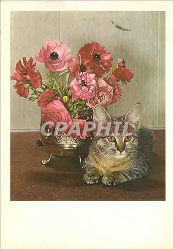 Cartes postales moderne Chat