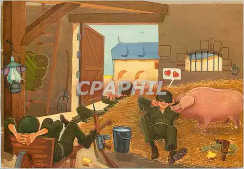 Moderne Karte Soldat Militaria Cochon Porc
