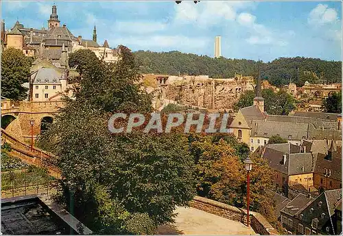 Cartes postales moderne Luxembourg Faubourg du Grand et Bach