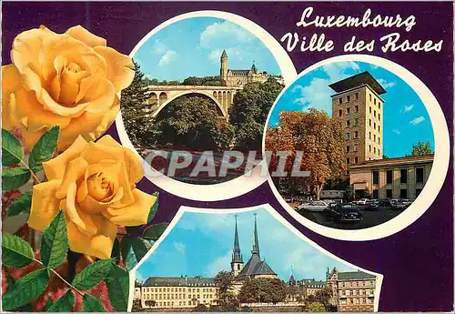 Cartes postales moderne Luxembourg Ville des Roses