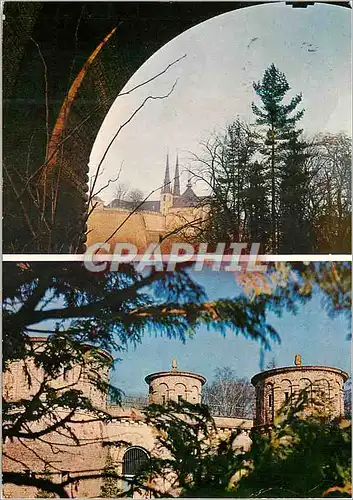 Cartes postales moderne Luxembourg Sanglier