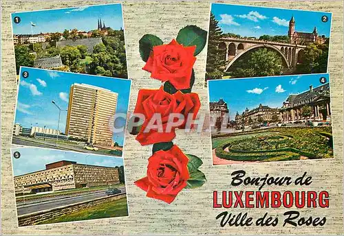 Moderne Karte Luxembourg Ville des Roses