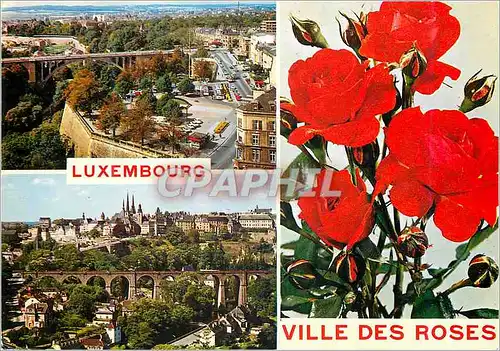 Cartes postales moderne Luxembourg Ville des Roses