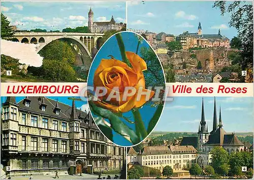 Moderne Karte Luxembourg Ville des Roses