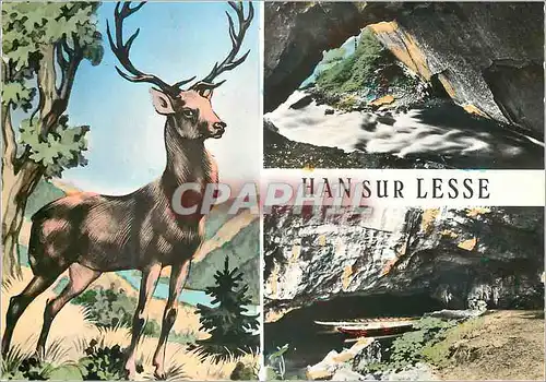 Cartes postales moderne Hans sur lesse Cerf
