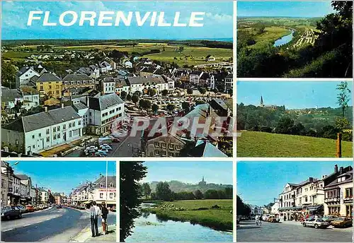 Cartes postales moderne Florenville pole touristique de la hte semois