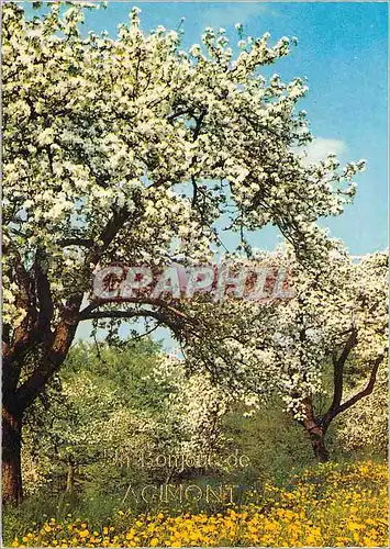 Cartes postales moderne Agimont bonjour