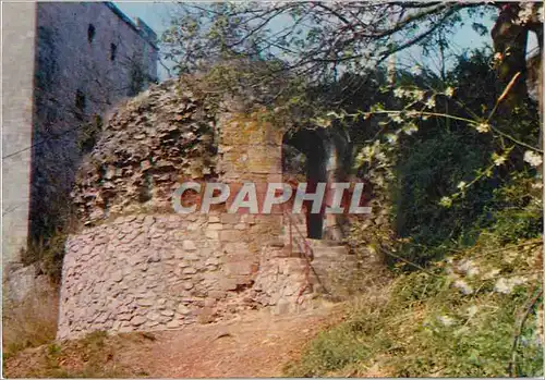 Moderne Karte Beaumont la poterne et la tour salamant