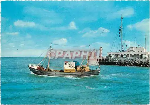 Cartes postales La cote belge bateau de peche