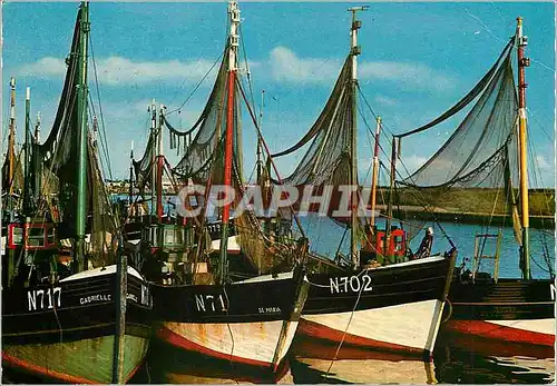Cartes postales Vissershaven port des pecheurs Bateaux de peche