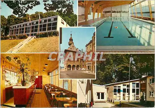 Cartes postales moderne Vise Piscine