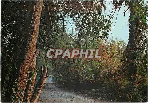 Cartes postales moderne Les ardennes pittoresque