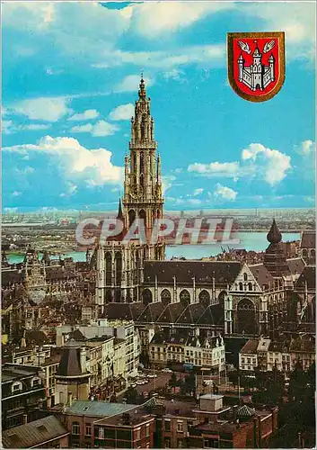 Cartes postales moderne Anvers cathedrale