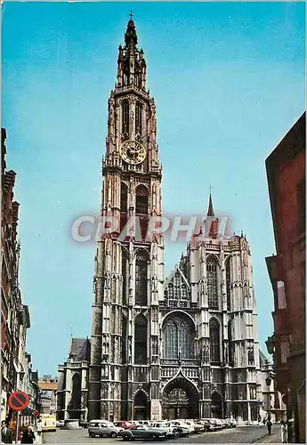 Cartes postales moderne Anvers la cathedrale 123m