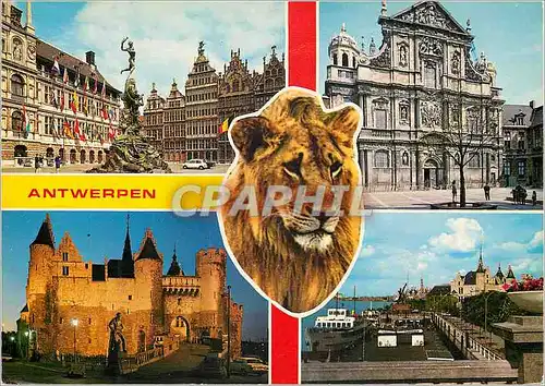 Cartes postales moderne Antwerpen Lion