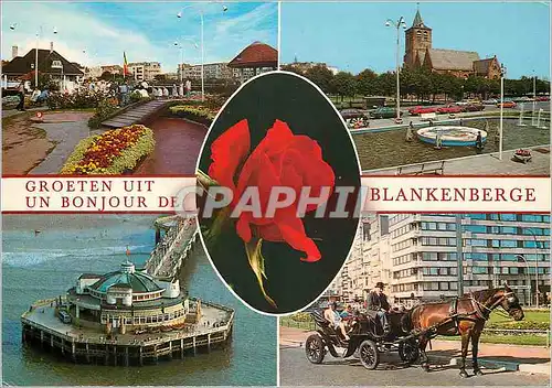Cartes postales moderne Blankenberge un bonjour