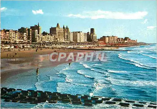 Moderne Karte Blankenberge la digue vue du pier