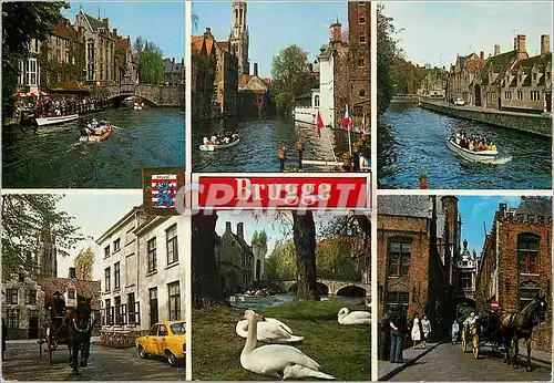 Cartes postales moderne Brugge un bonjour Cygnes