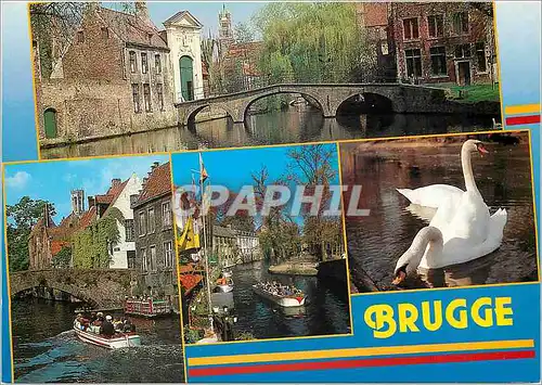 Moderne Karte Brugge Cygnes