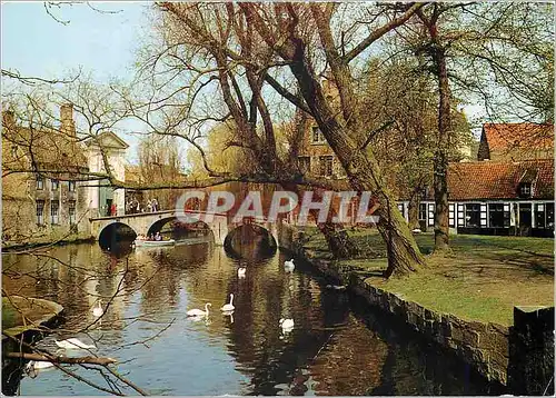 Cartes postales moderne Brugge entree du beguinage