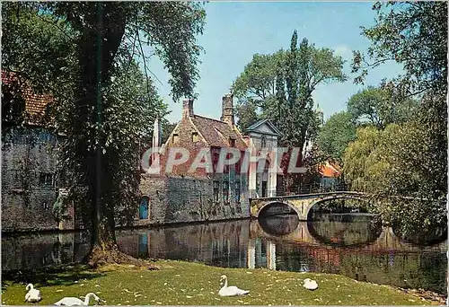 Cartes postales moderne Brugge entree du beguinage