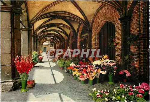 Cartes postales moderne Brugge erriere cote de beffroi