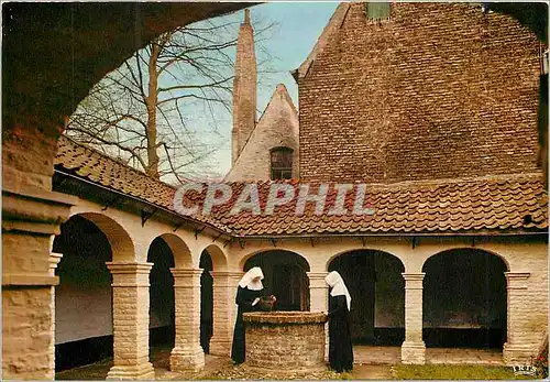 Cartes postales moderne Brugge au beguinage de bruges coin du cloitre