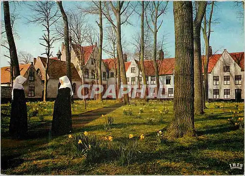 Cartes postales moderne Brugge le monastere de la vigne