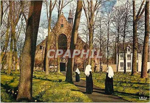 Cartes postales moderne Brugge le monastere de la vigne eglise ste elisabeth