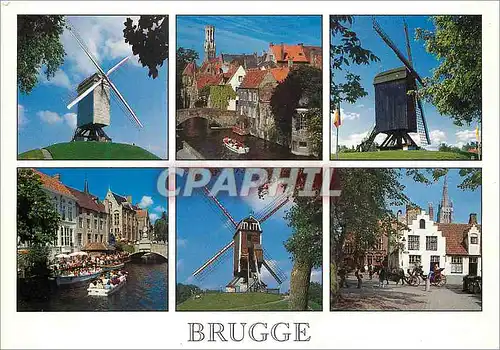 Cartes postales moderne Brugge un bonjour Moulin a vent
